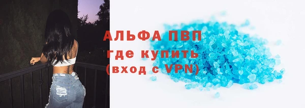 прущие грибы Мегион