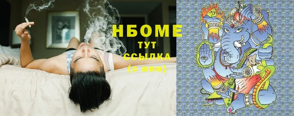 прущие грибы Мегион