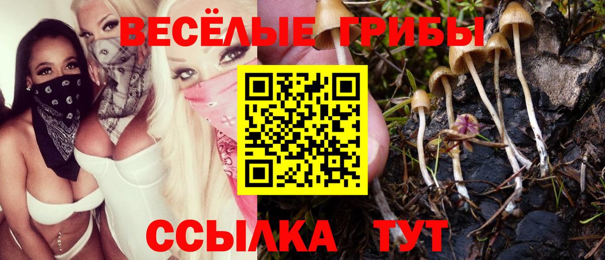 Галлюциногенные грибы мухоморы Осинники